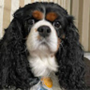 Meet your Posher, Ms jean